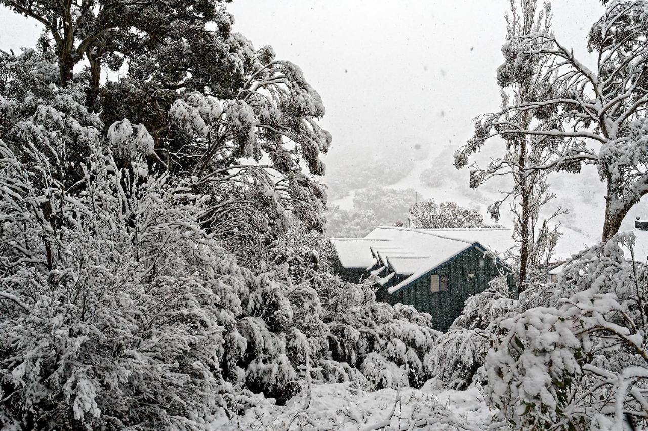 Villa Alpenhorn Thredbo Exterior foto